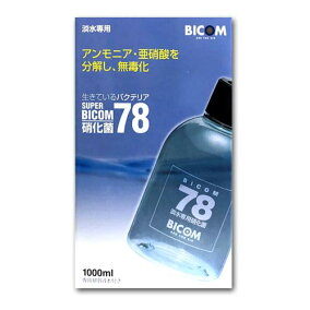 楽天市場 熱帯魚 アクアリウム 人気ランキング1位 売れ筋商品 楽天市場 熱帯魚 アクアリウム 人気ランキング1位 売れ筋商品